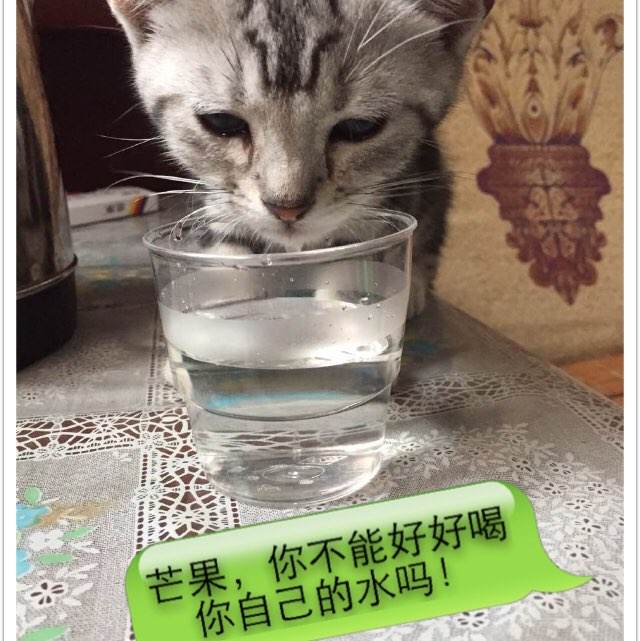 湖北中专学历认证报告怎么弄
